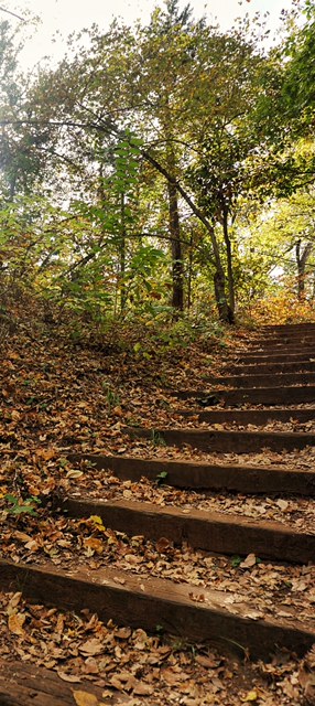 Hike the California Road Nature Trail Loop