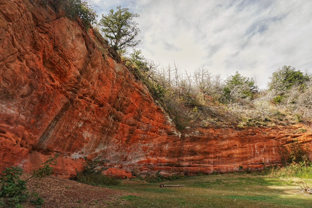 Hike the California Road Nature Trail Loop
