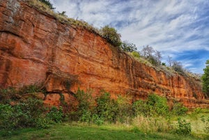 Hike the California Road Nature Trail Loop