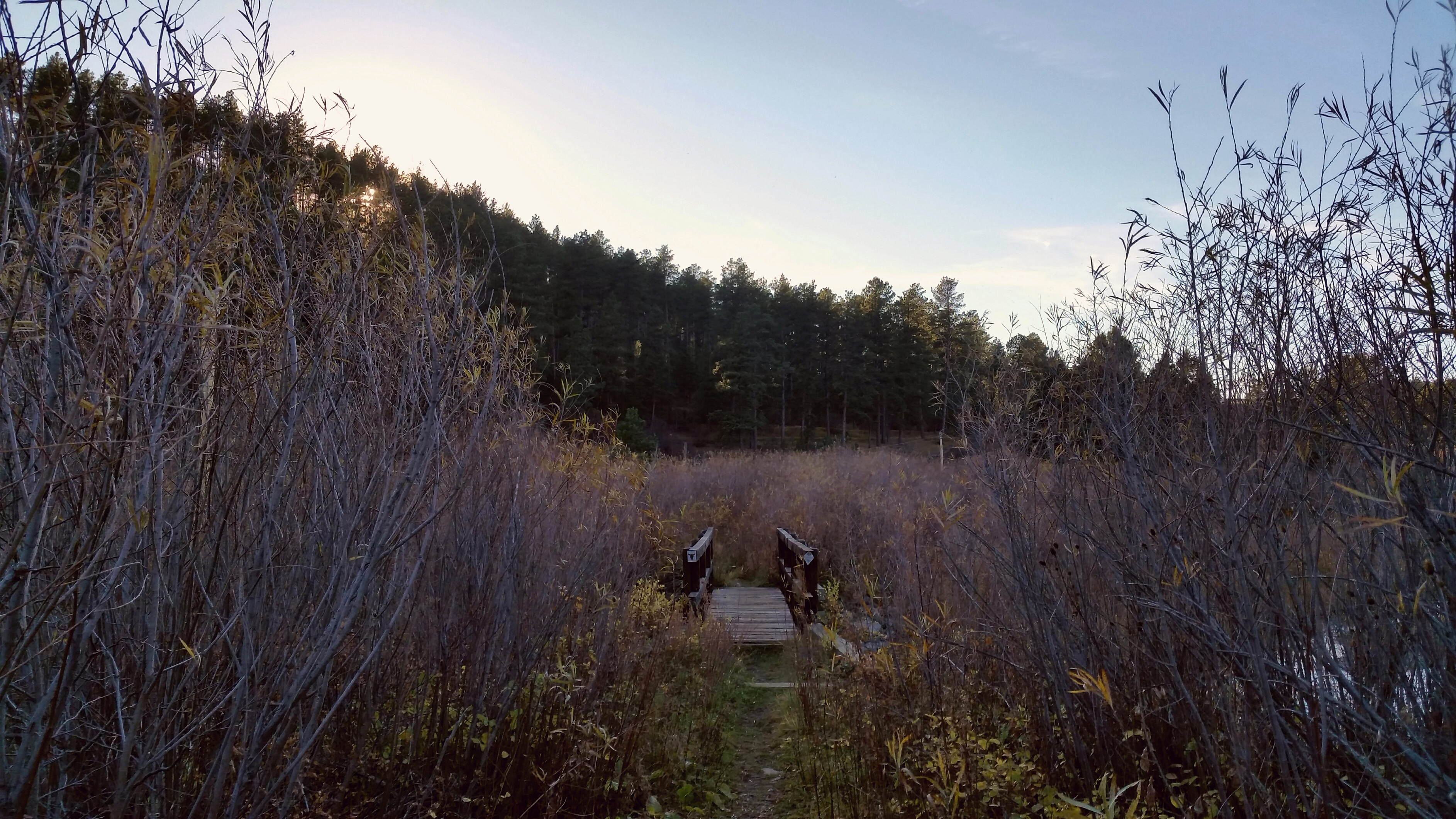 Fly Fish from the Rapid Creek Trailhead