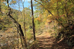 Difficult Run, Ridge, and River Trails