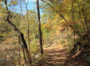 Difficult Run, Ridge, and River Trails