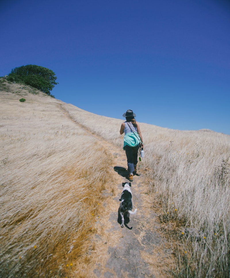 Photo of Sibley Volcanic Regional Preserve