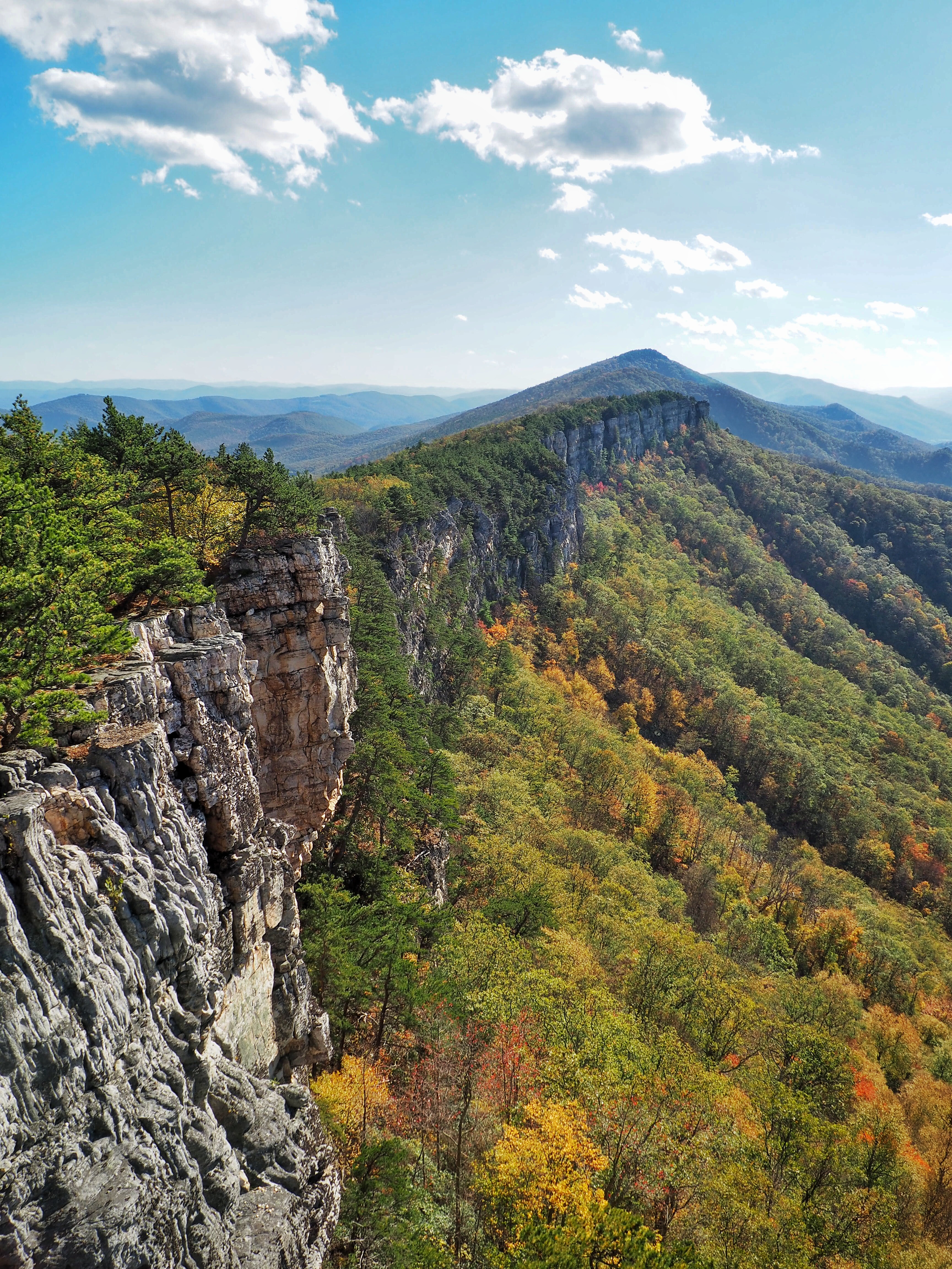 best hikes in monongahela national forest