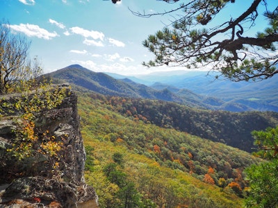 Hike to Chimney Rock in the Monongahela National Forest, Landis Trail