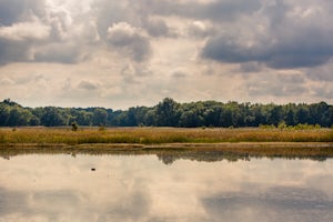 Discover Delaware: Bombay Hook National Wildlife Refuge