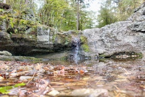 Falls Creek Falls via Falls Branch Trail