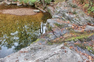 Hike the Falls Branch Trail in Lake Catherine SP