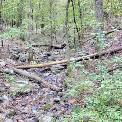 Hike the Falls Branch Trail in Lake Catherine SP