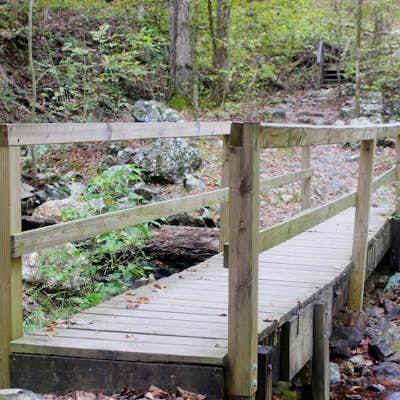 Hike the Falls Branch Trail in Lake Catherine SP