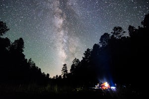 Cabin Loop Trail