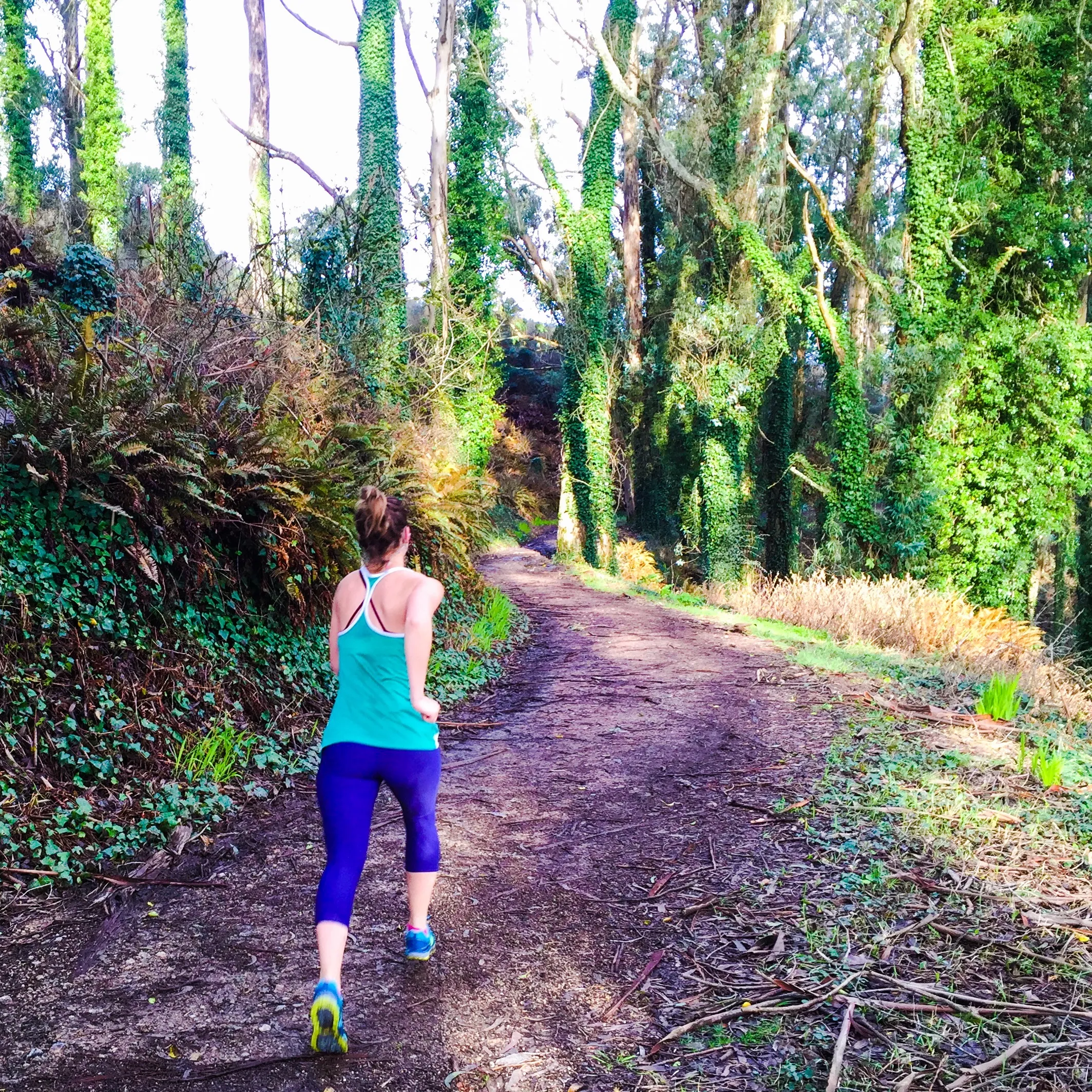 Oakwood Trail