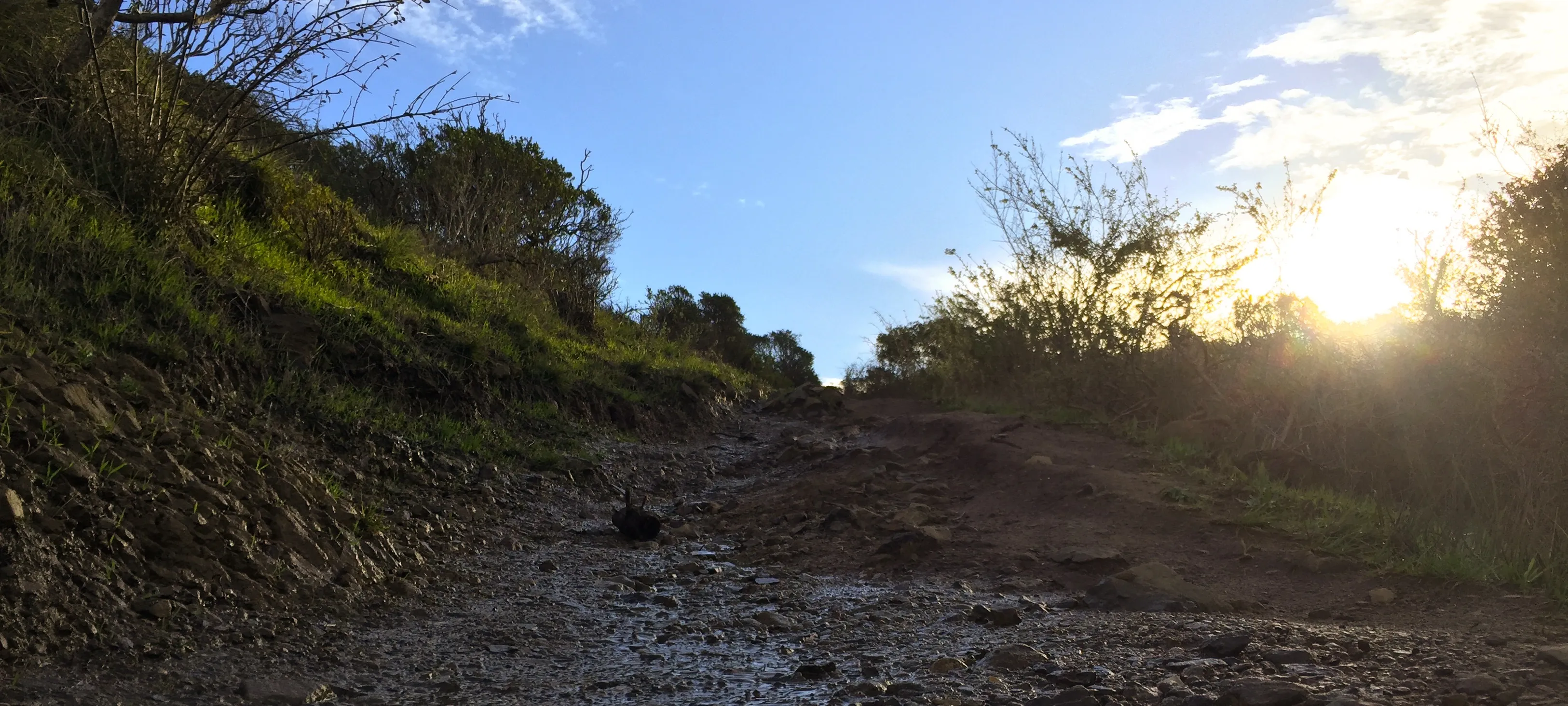Oakwood Trail