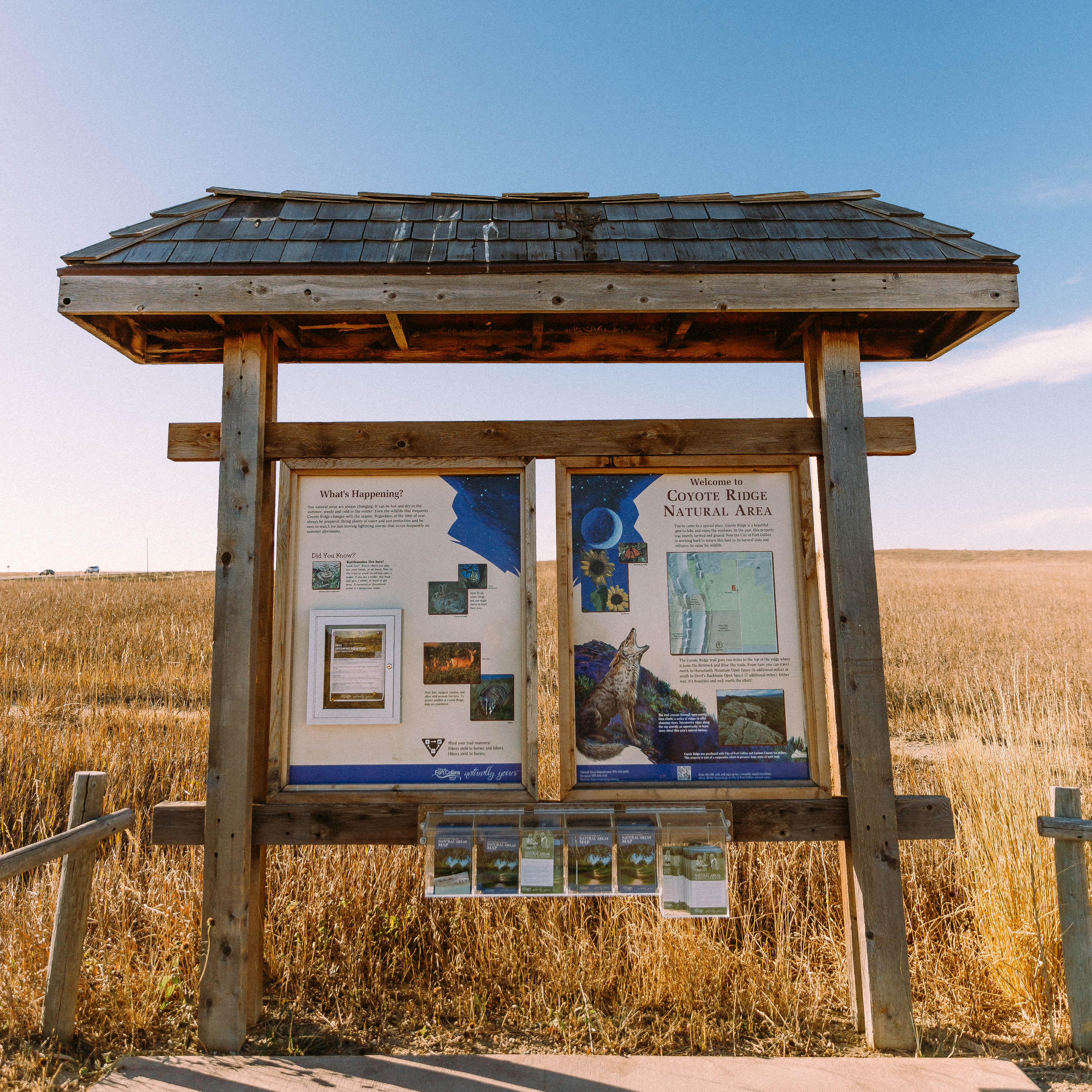 Hike the Coyote Ridge Trail