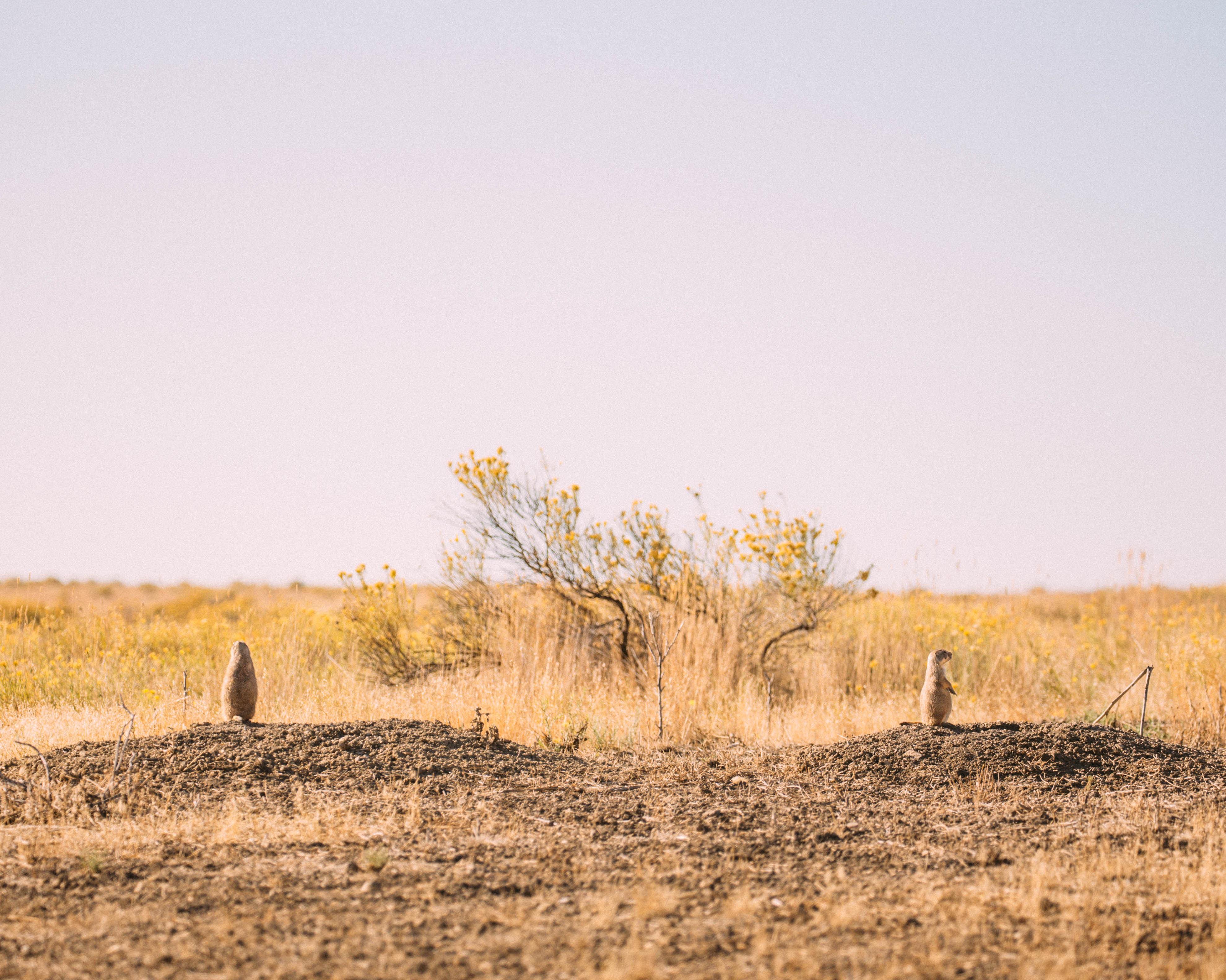 Hike the Coyote Ridge Trail