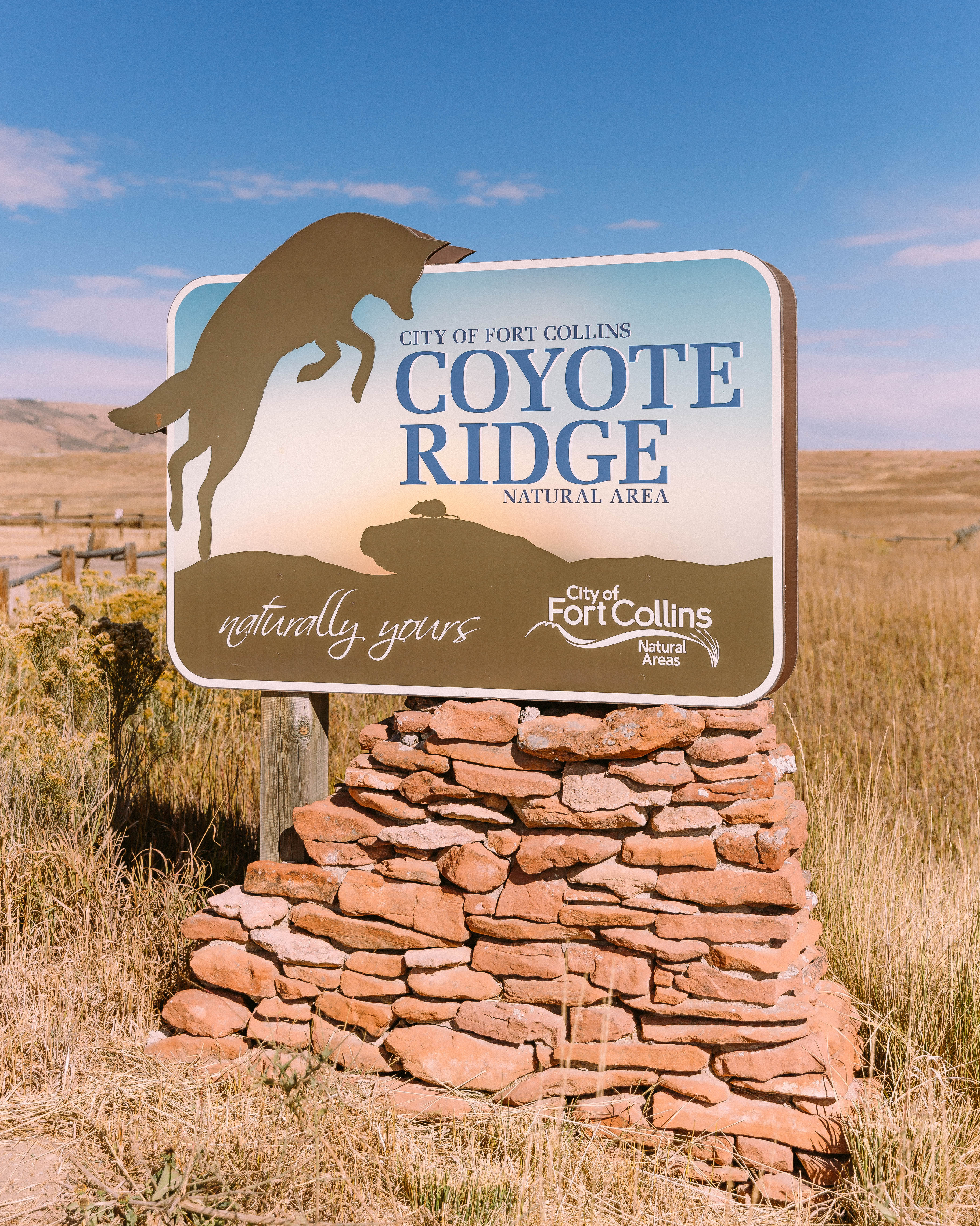Hike the Coyote Ridge Trail