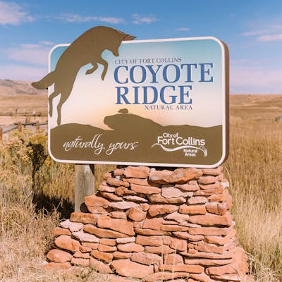 Hike the Coyote Ridge Trail