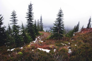 Hike to the Summit of Mt. McCausland