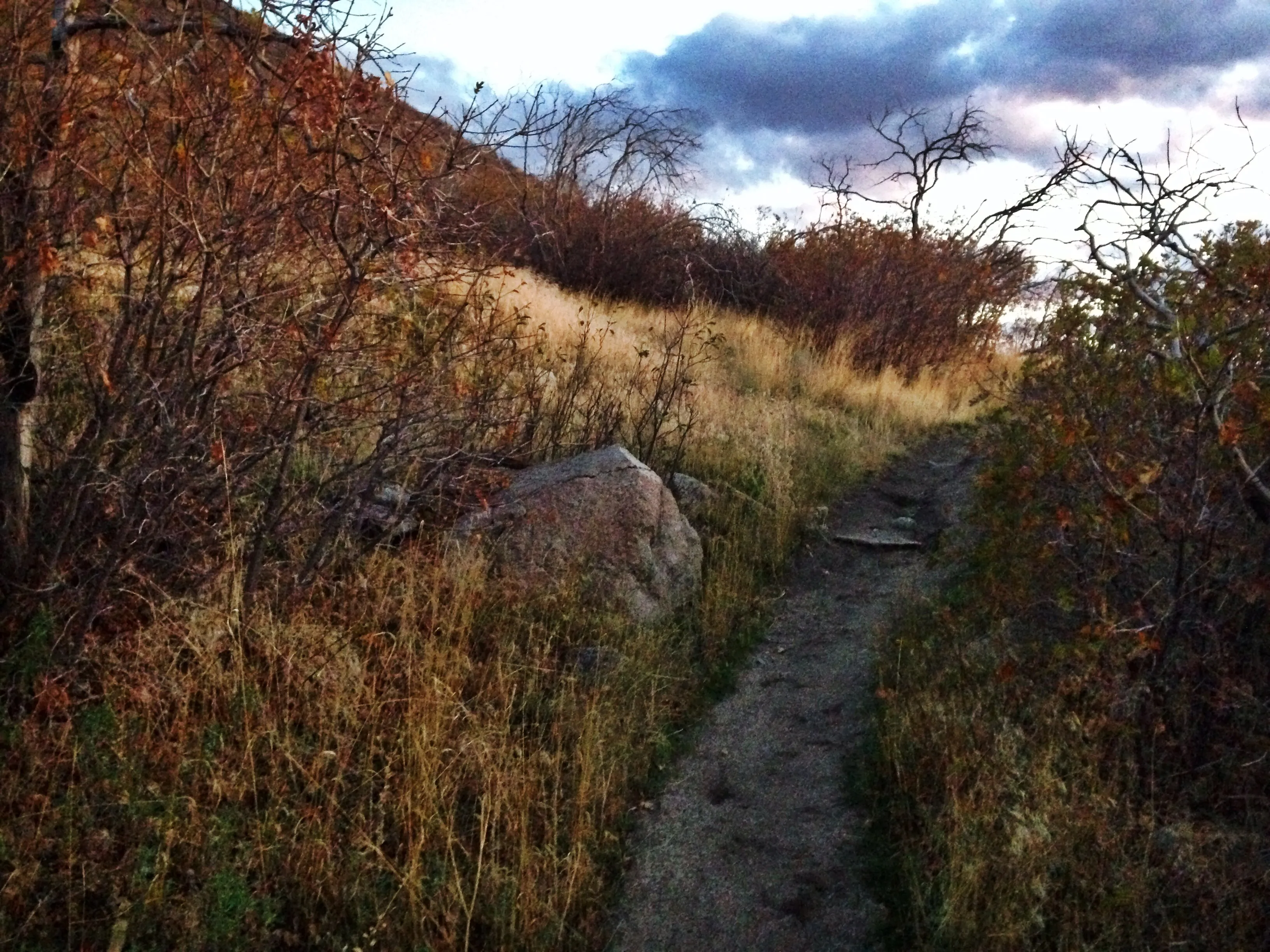 Catch a Sunset at the Suspension Bridge