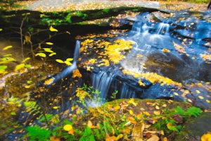 Hike the Creation Falls and Rock Bridge Loop
