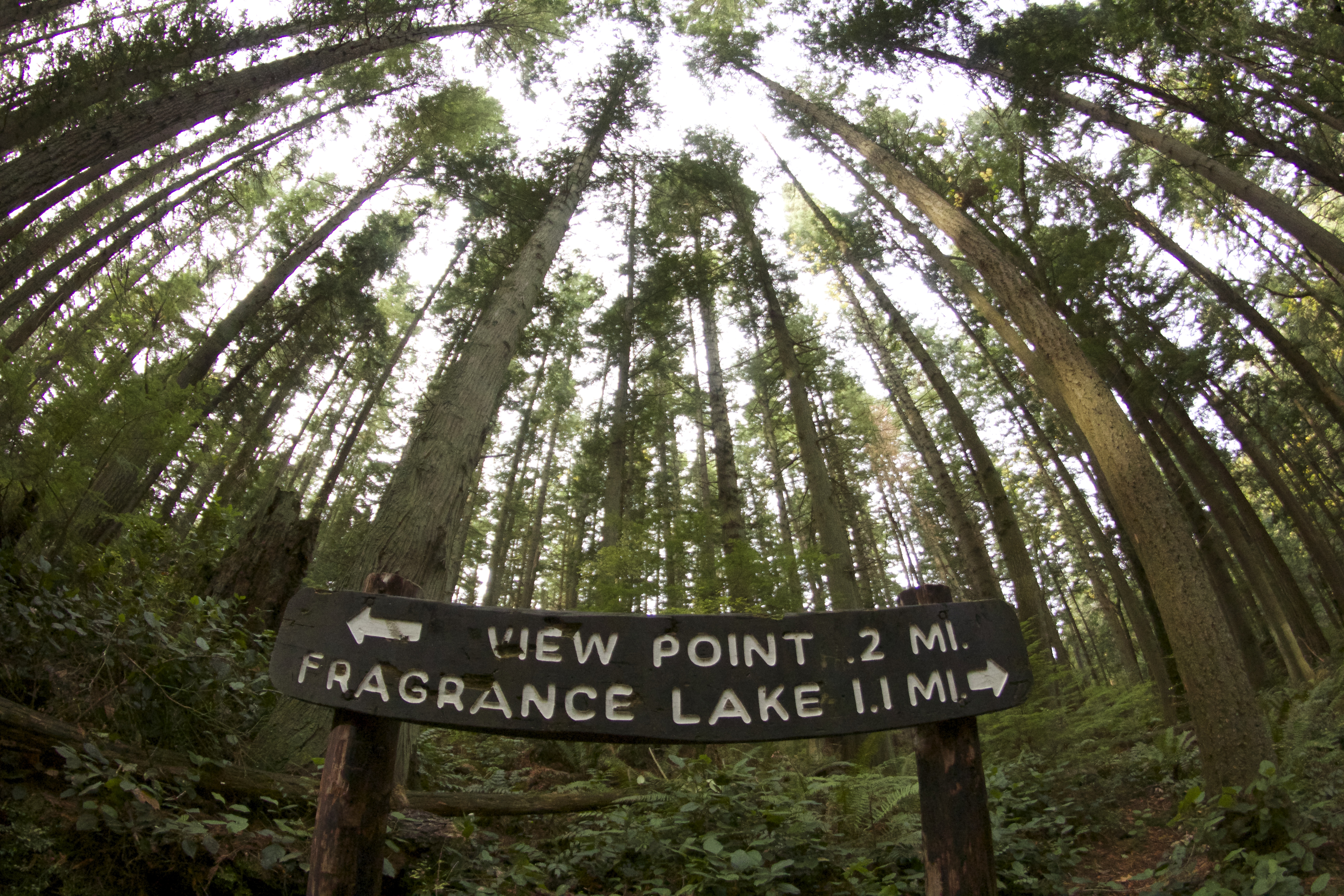 Hike to Fragrance Lake