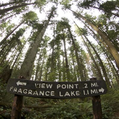 Hike to Fragrance Lake