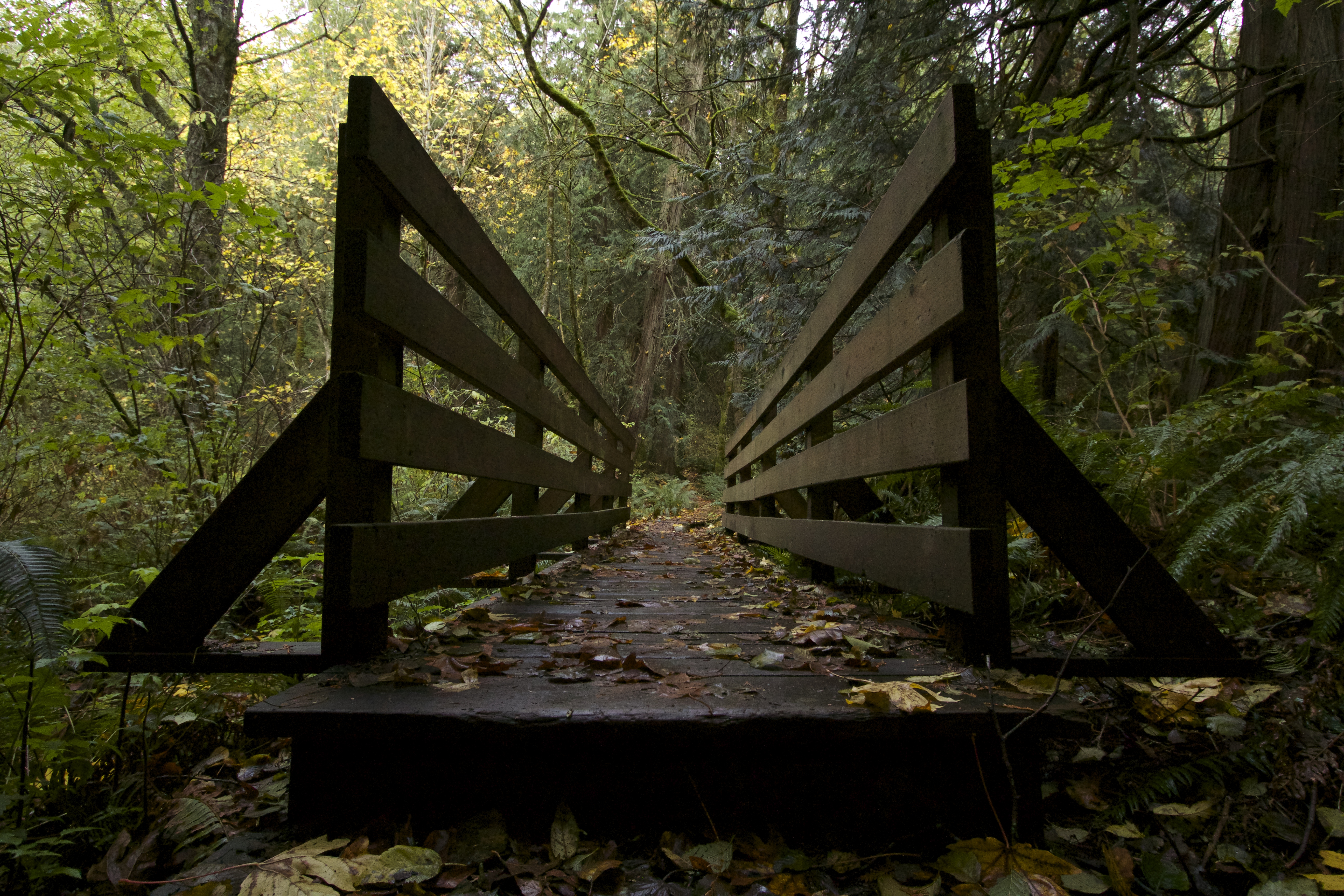 Hike to Fragrance Lake