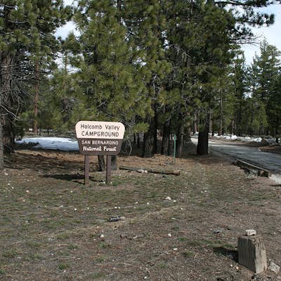Camp at Holcomb Valley Campground