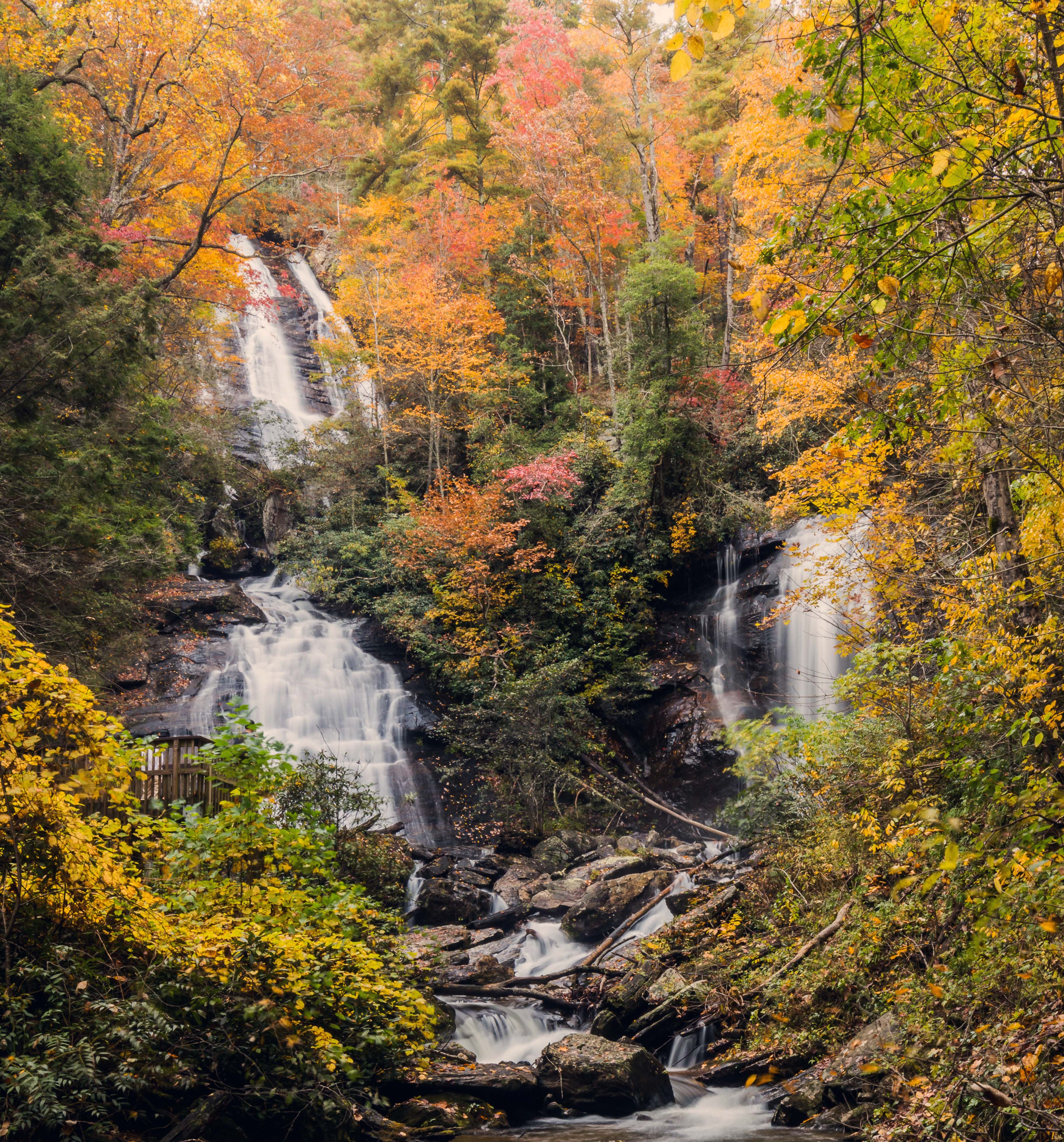 The 20 Best Hikes In Georgia