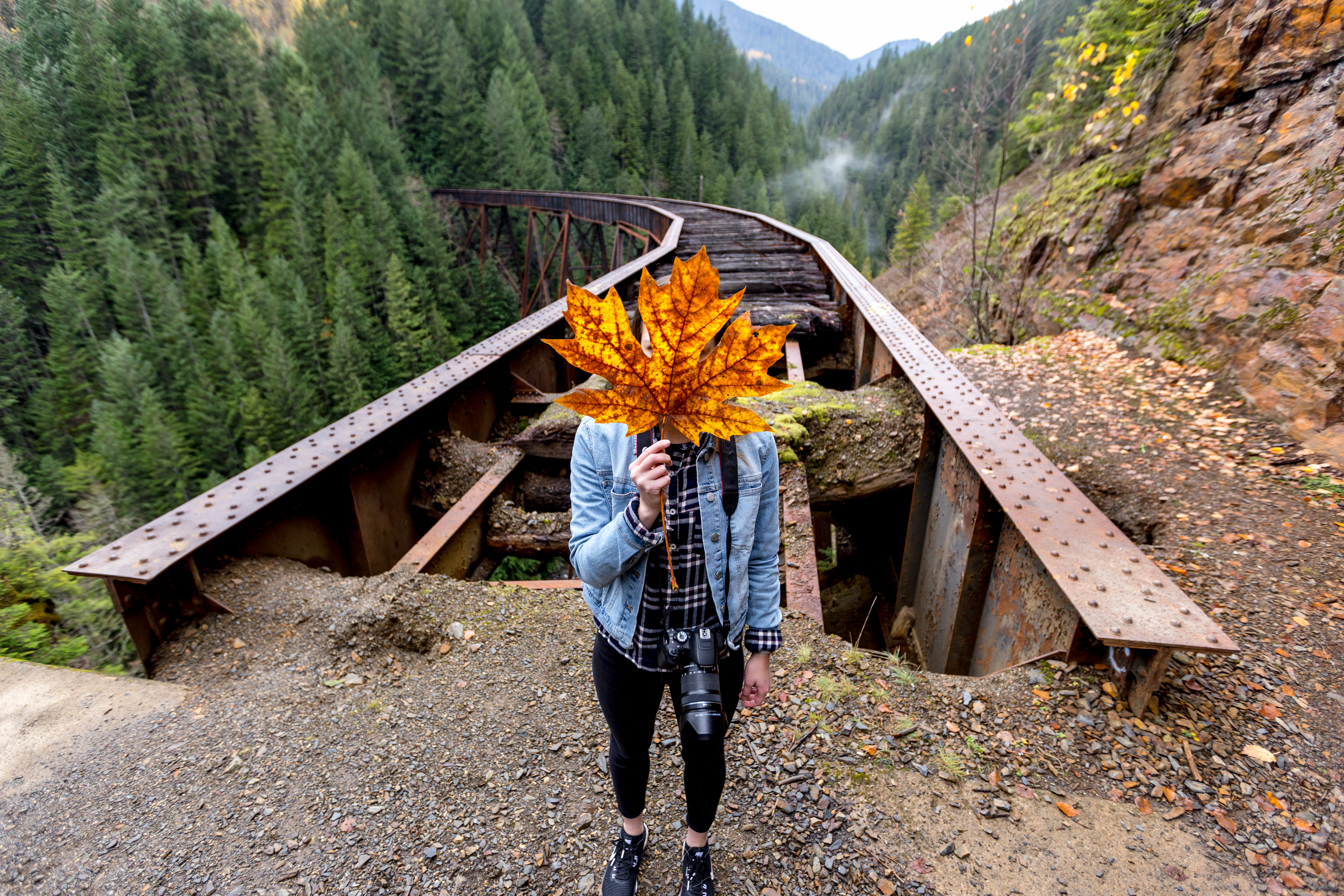 Explore the Ladner Creek Trestle