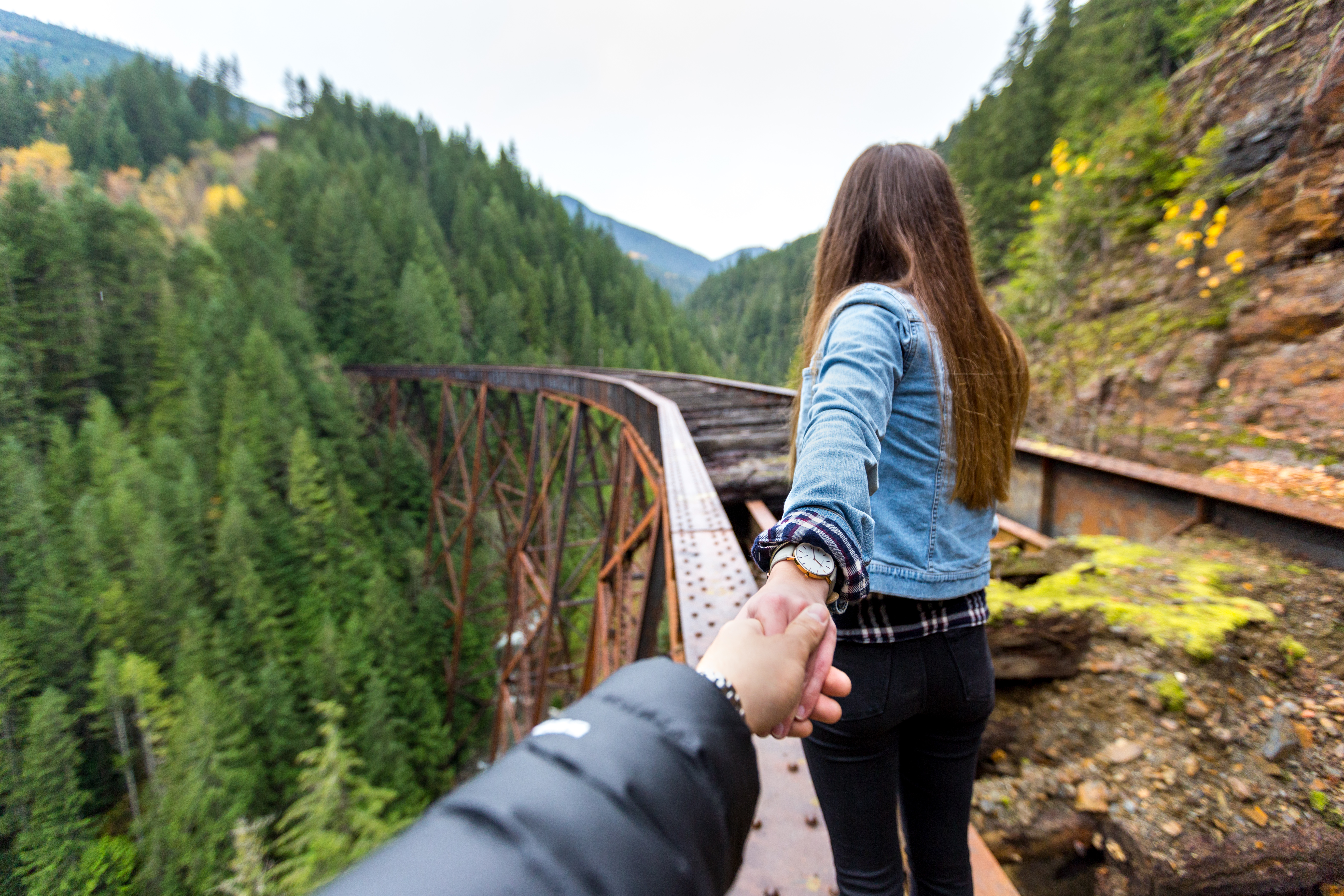 Explore the Ladner Creek Trestle