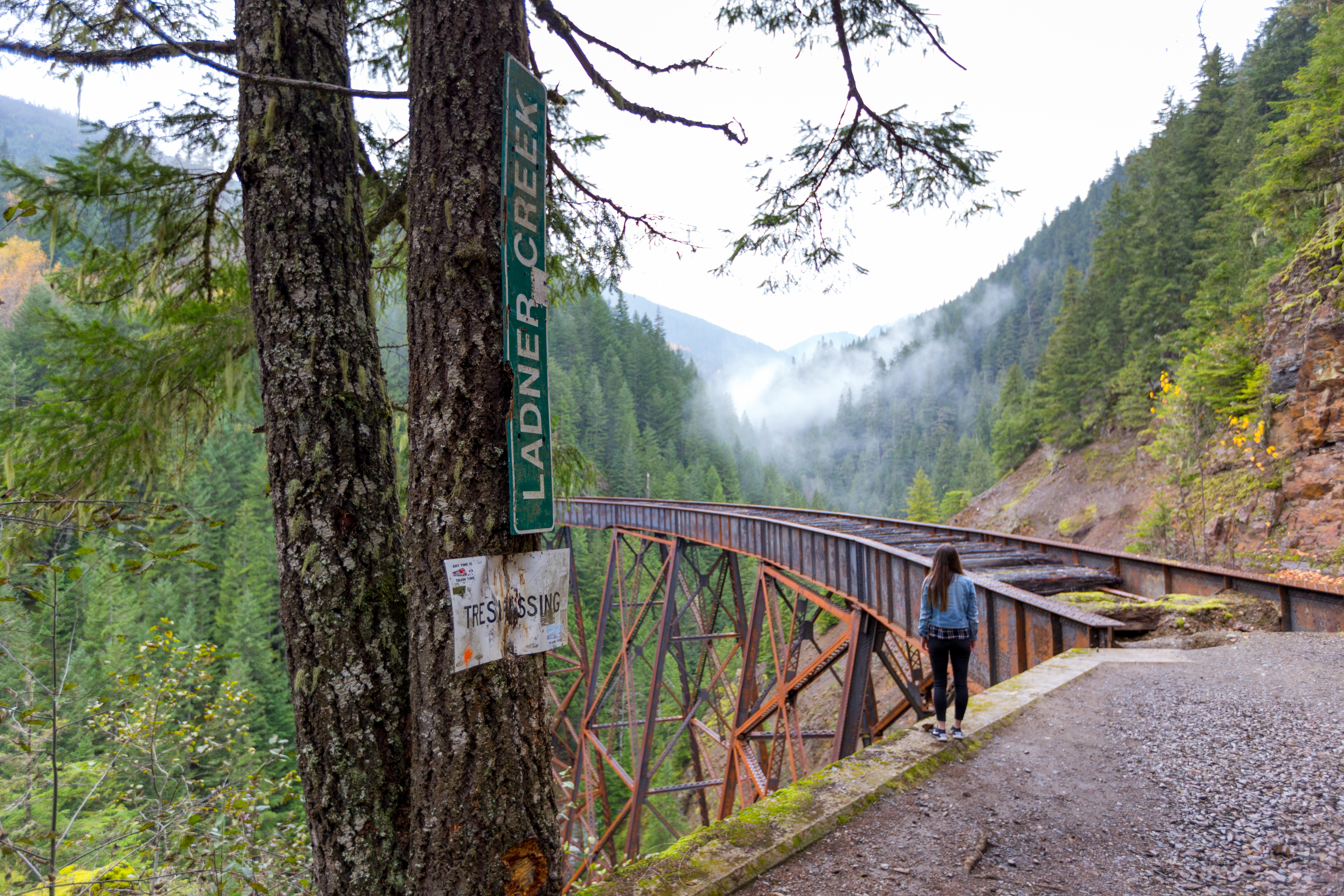 Explore the Ladner Creek Trestle
