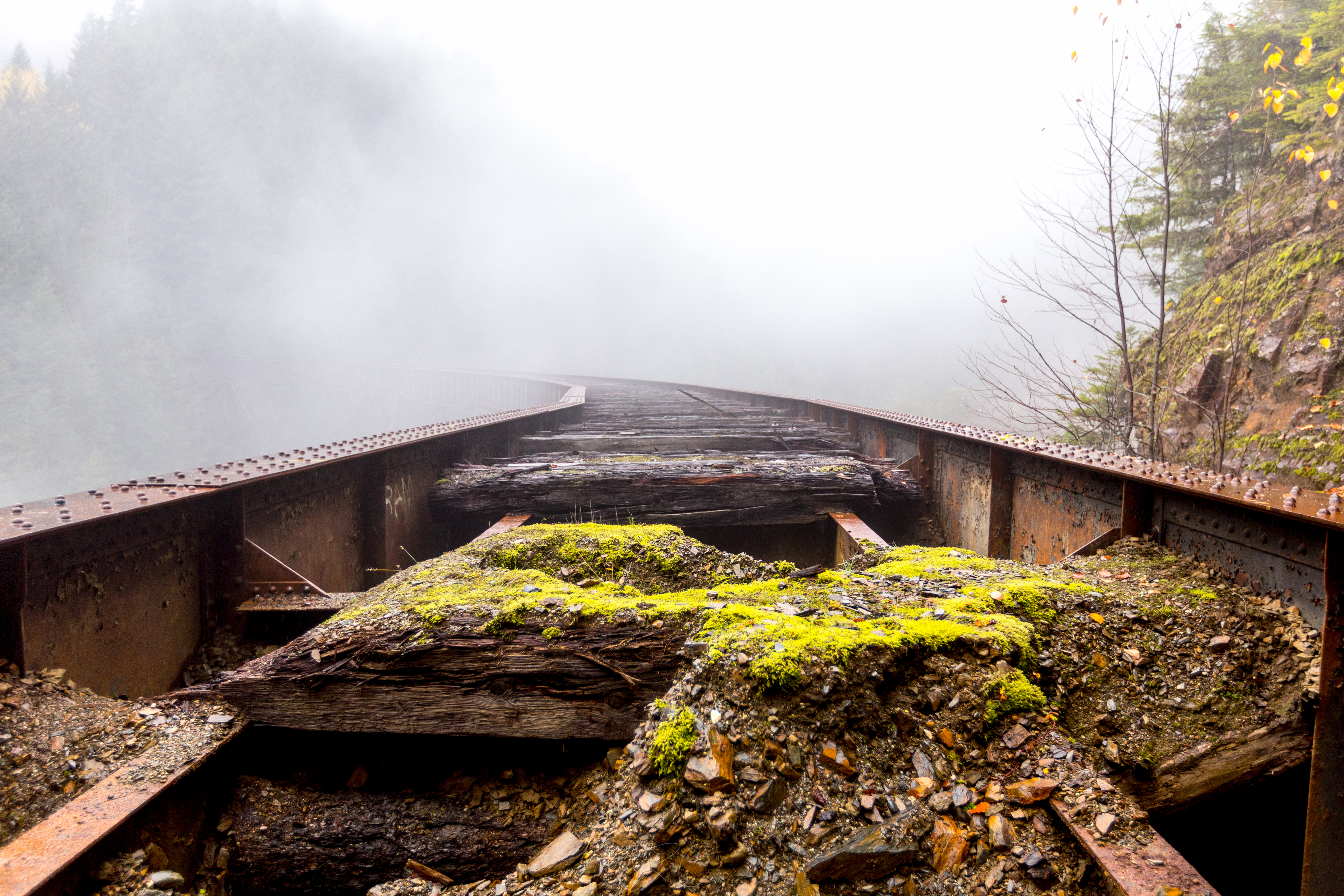 Explore the Ladner Creek Trestle