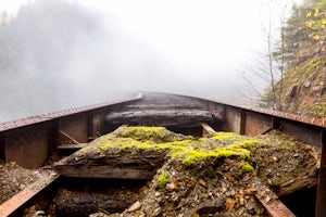 Explore the Ladner Creek Trestle