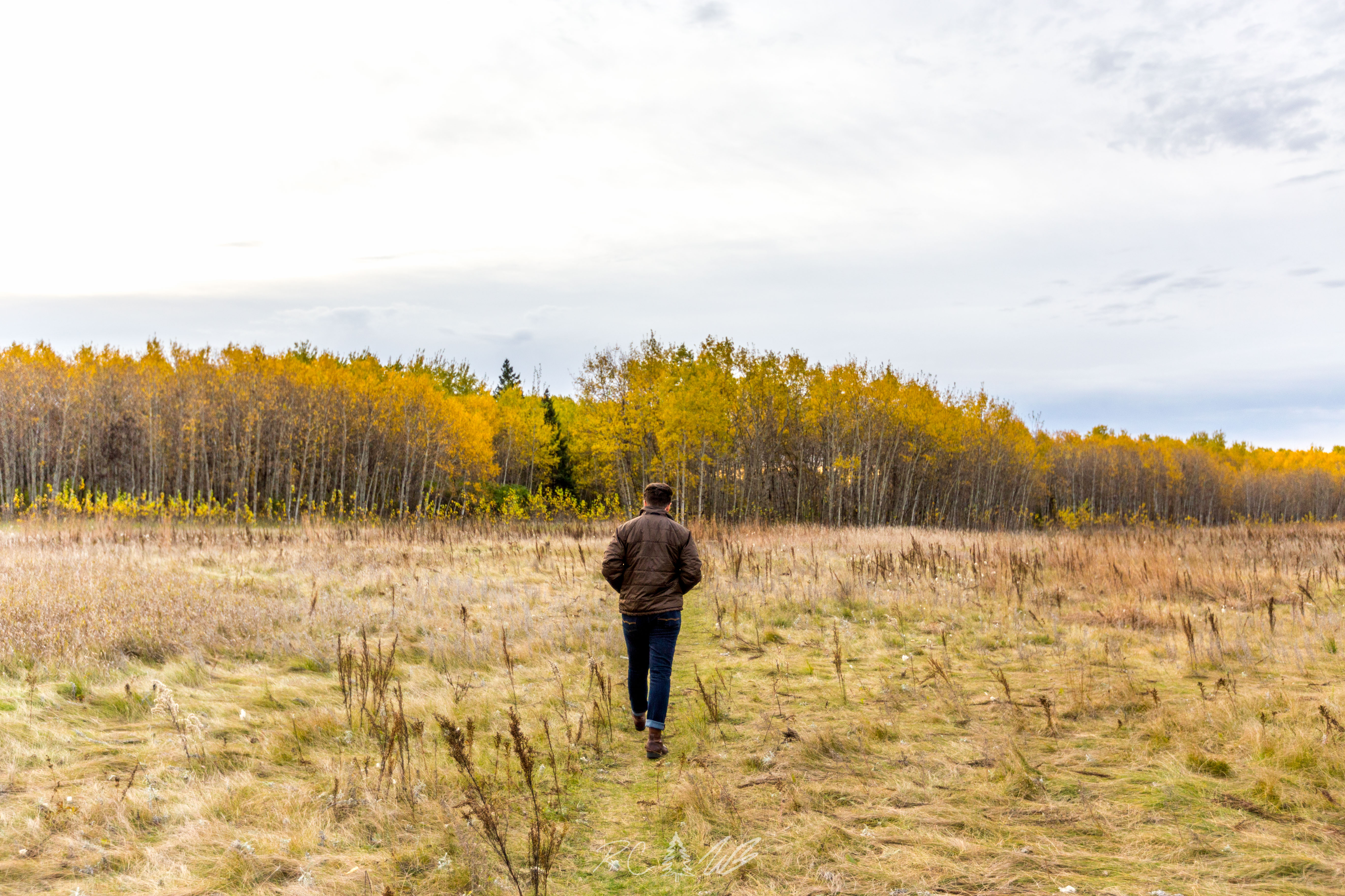 Explore Birds Hill Park