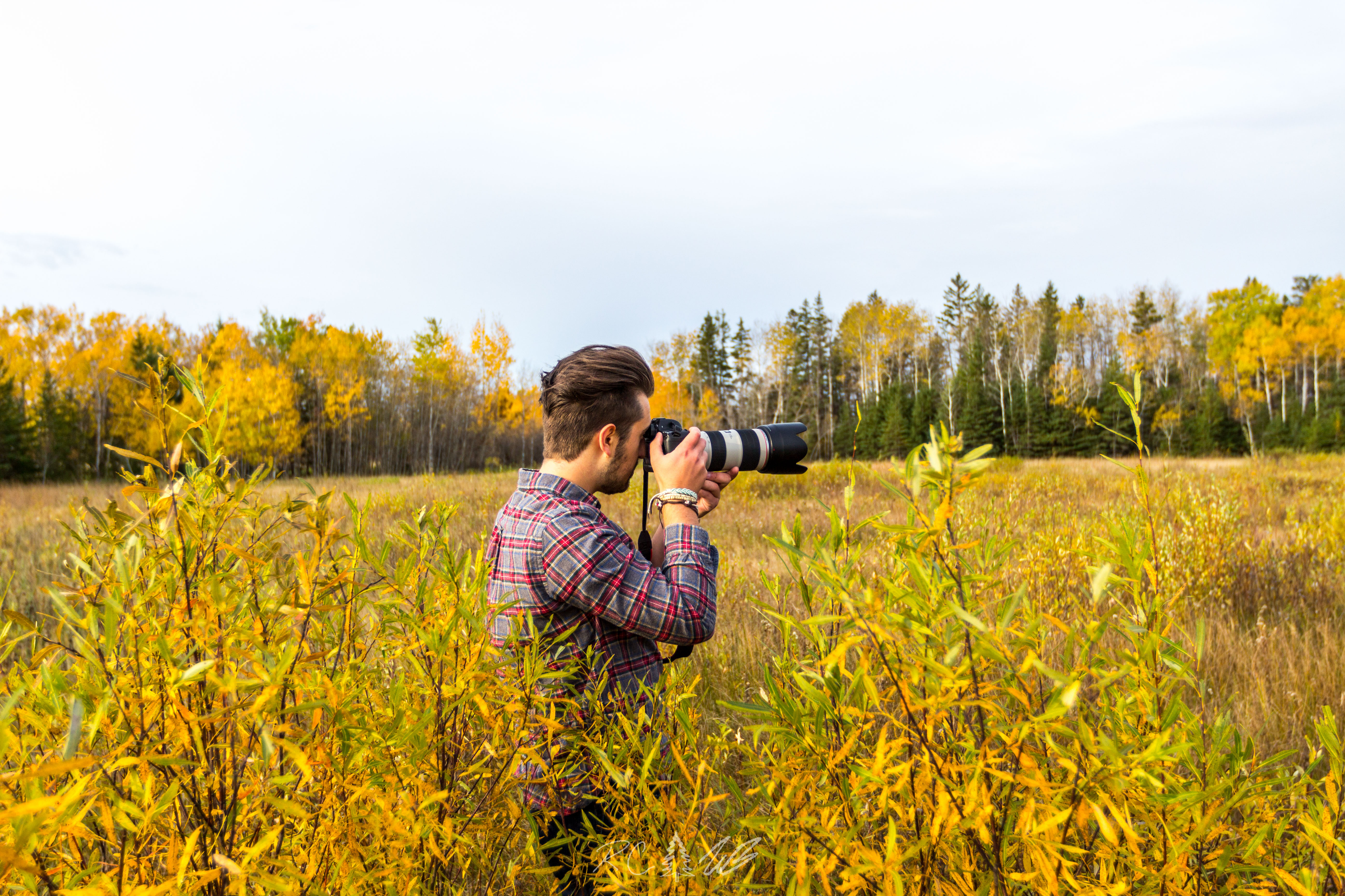 Explore Birds Hill Park