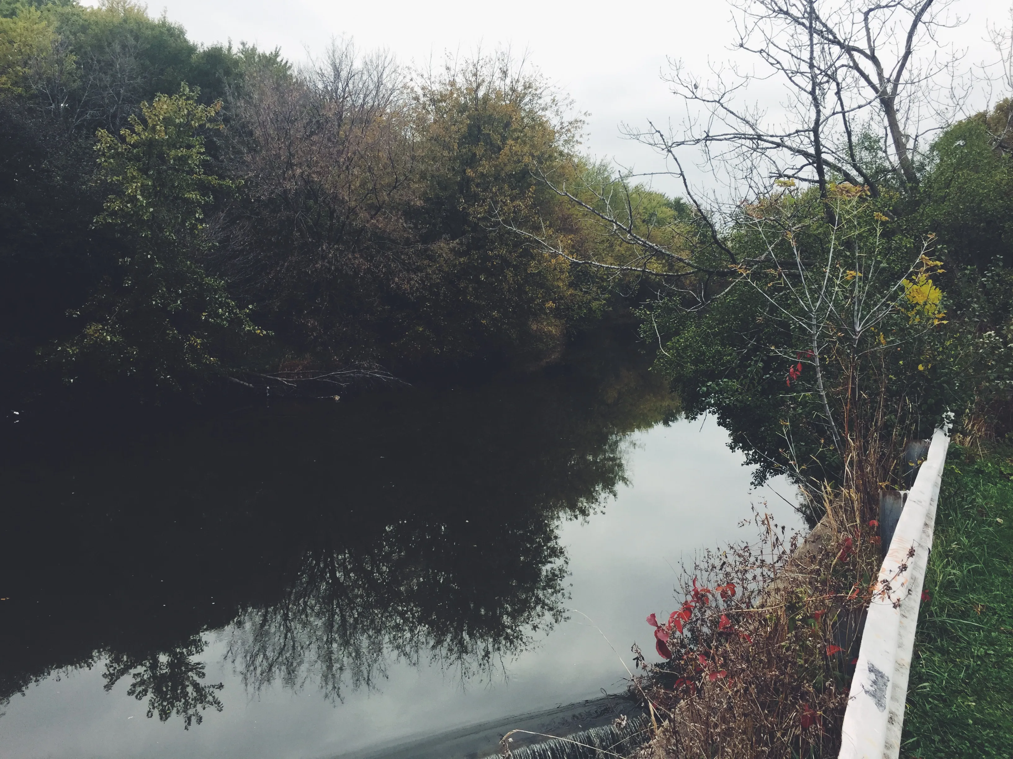Salt Creek Greenway Trail