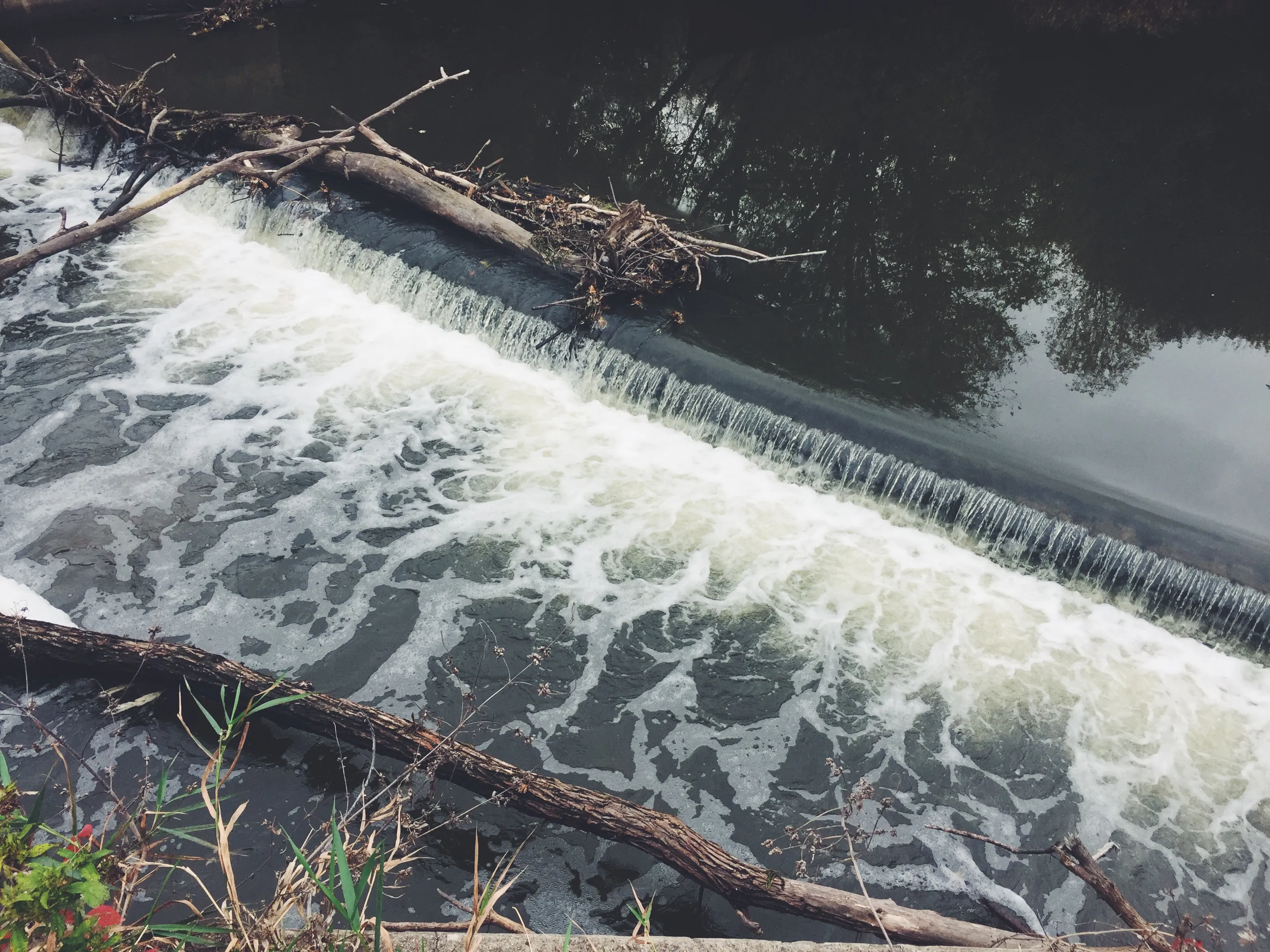 Salt Creek Greenway Trail