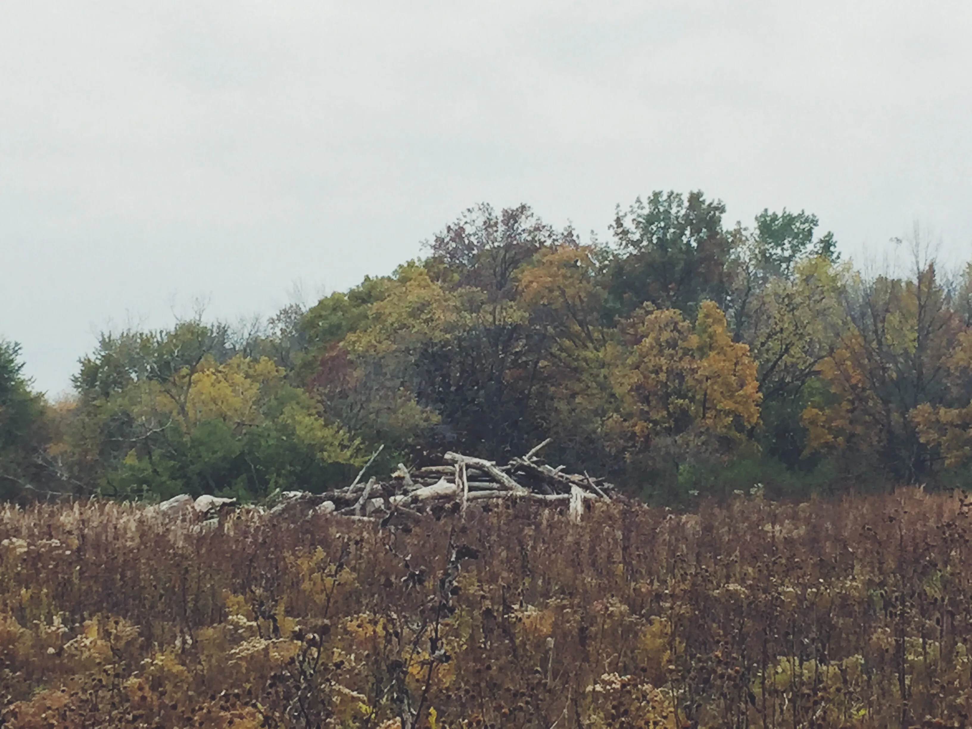 Salt Creek Greenway Trail