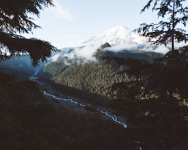 14 Photos from Our Adventure to Mount Rainier National Park