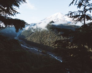 14 Photos from Our Adventure to Mount Rainier National Park