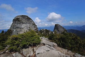 Scramble to the Summit of the West Lion via the Binkert Trail