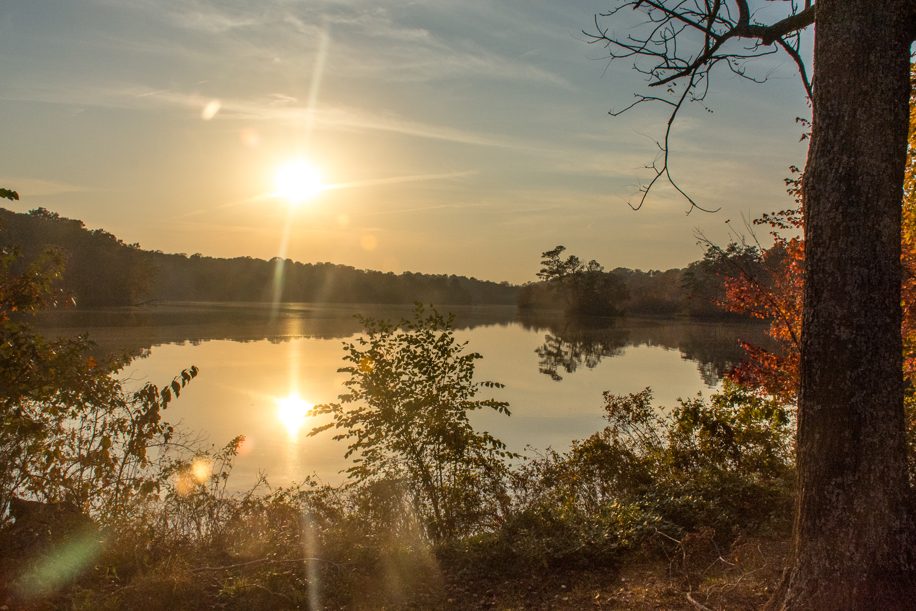 Hike the Pondside Trail, Killens Pond SP
