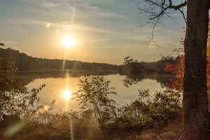 Hike the Pondside Trail, Killens Pond SP