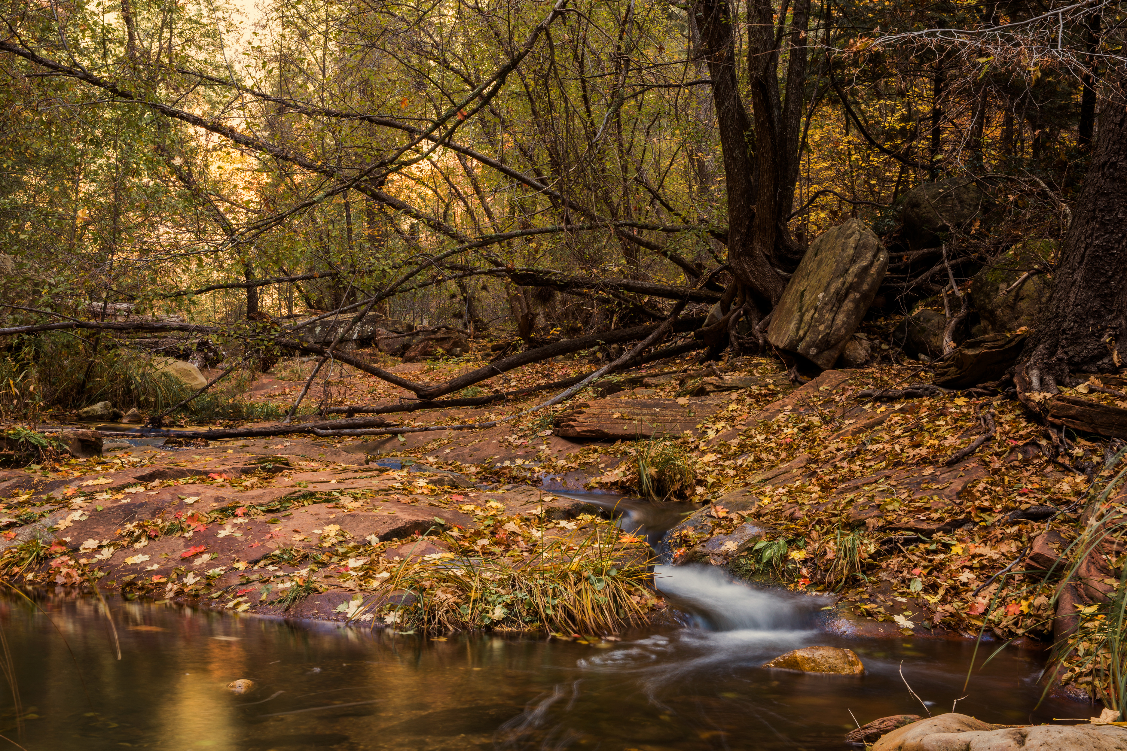 Hike West Fork Oak Creek Trail #108