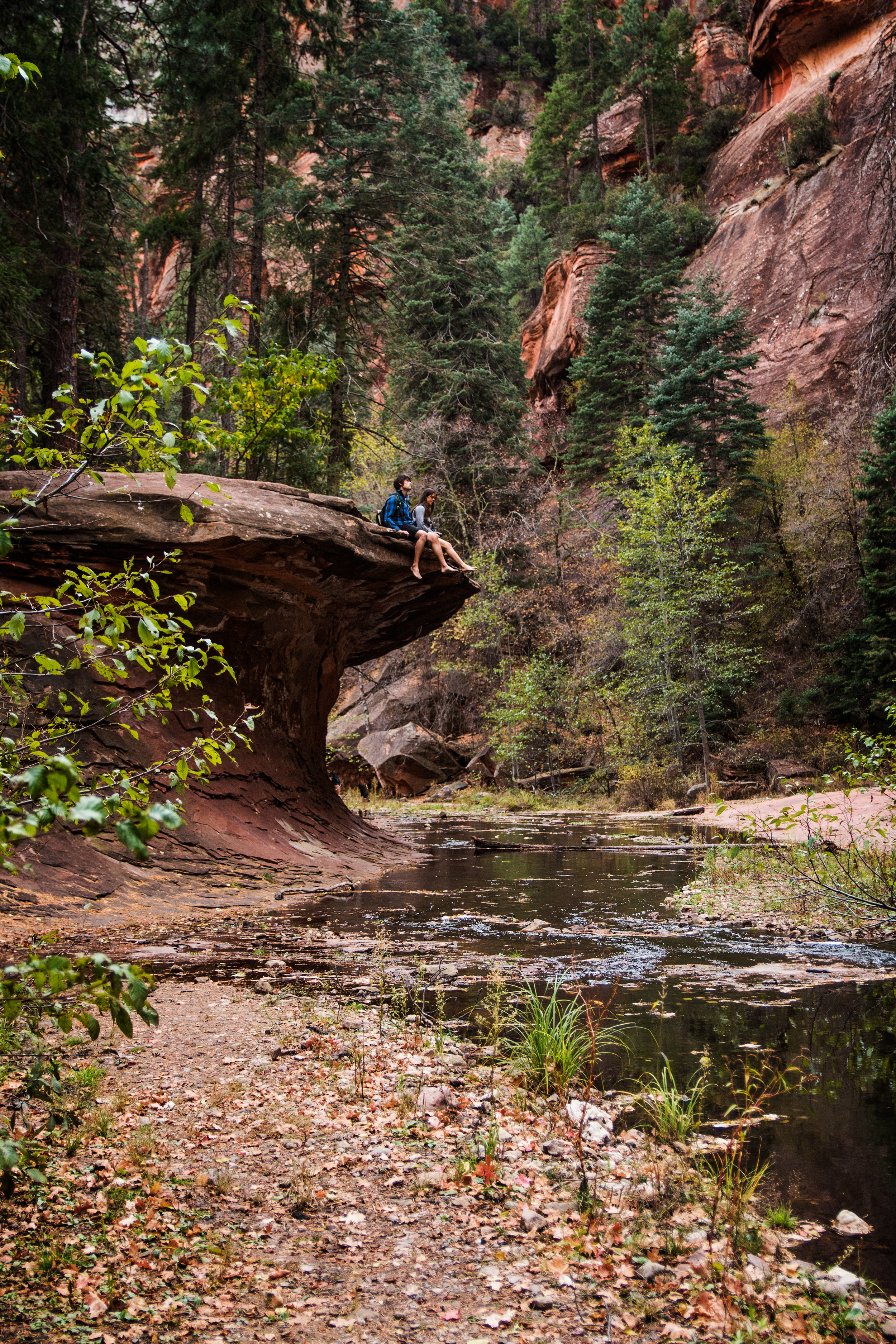 Hike West Fork Oak Creek Trail #108
