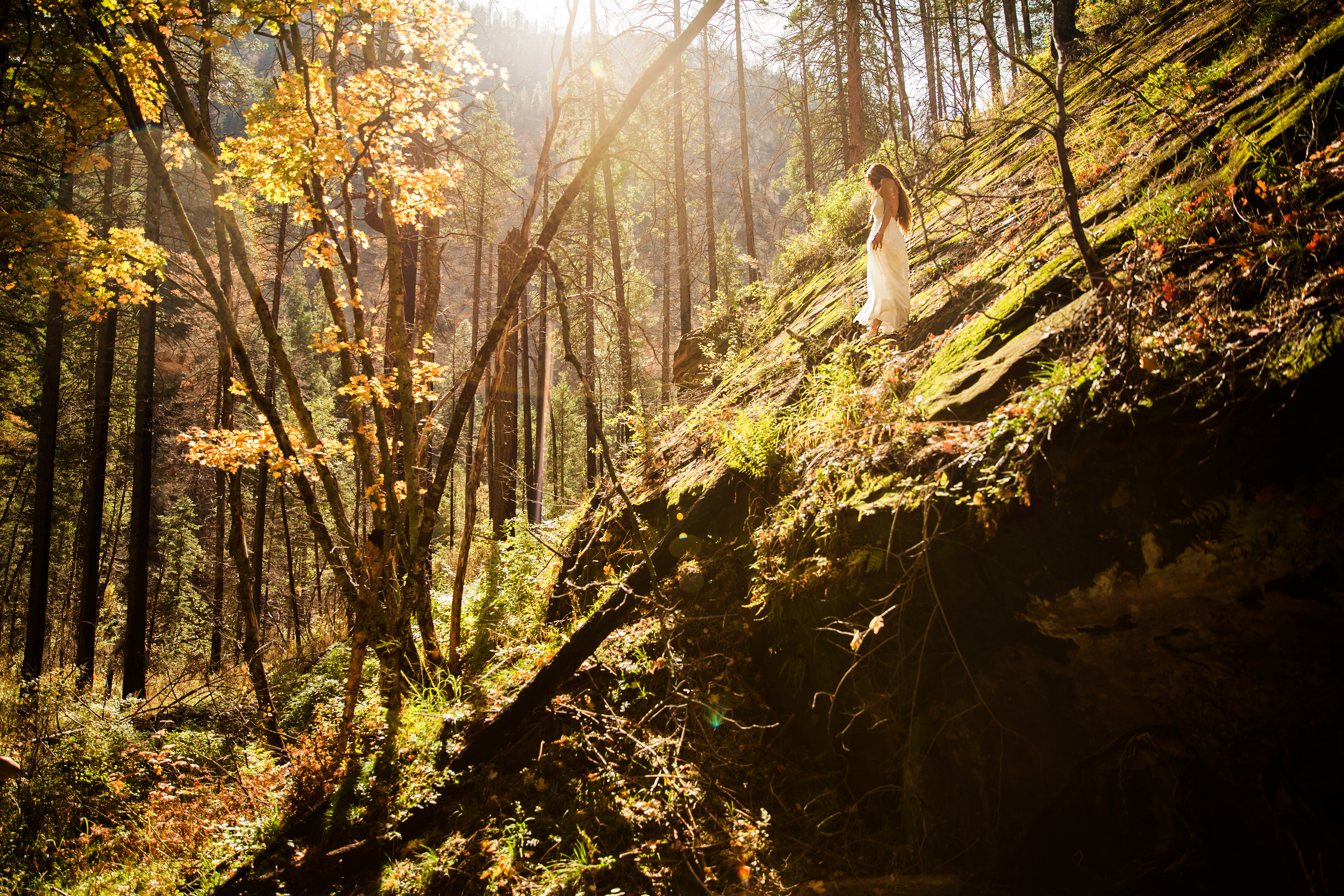 Hike West Fork Oak Creek Trail #108