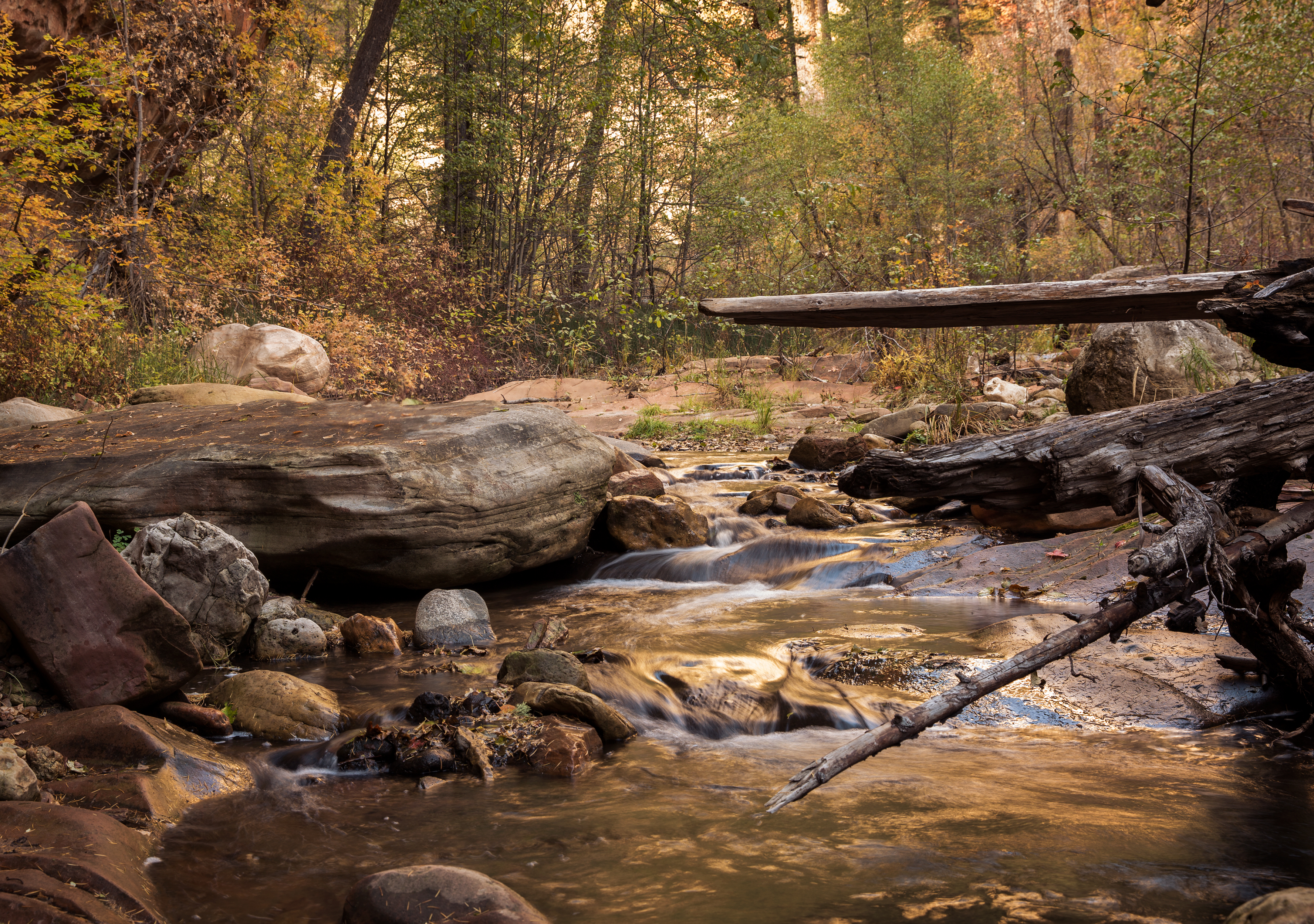 Hike West Fork Oak Creek Trail #108