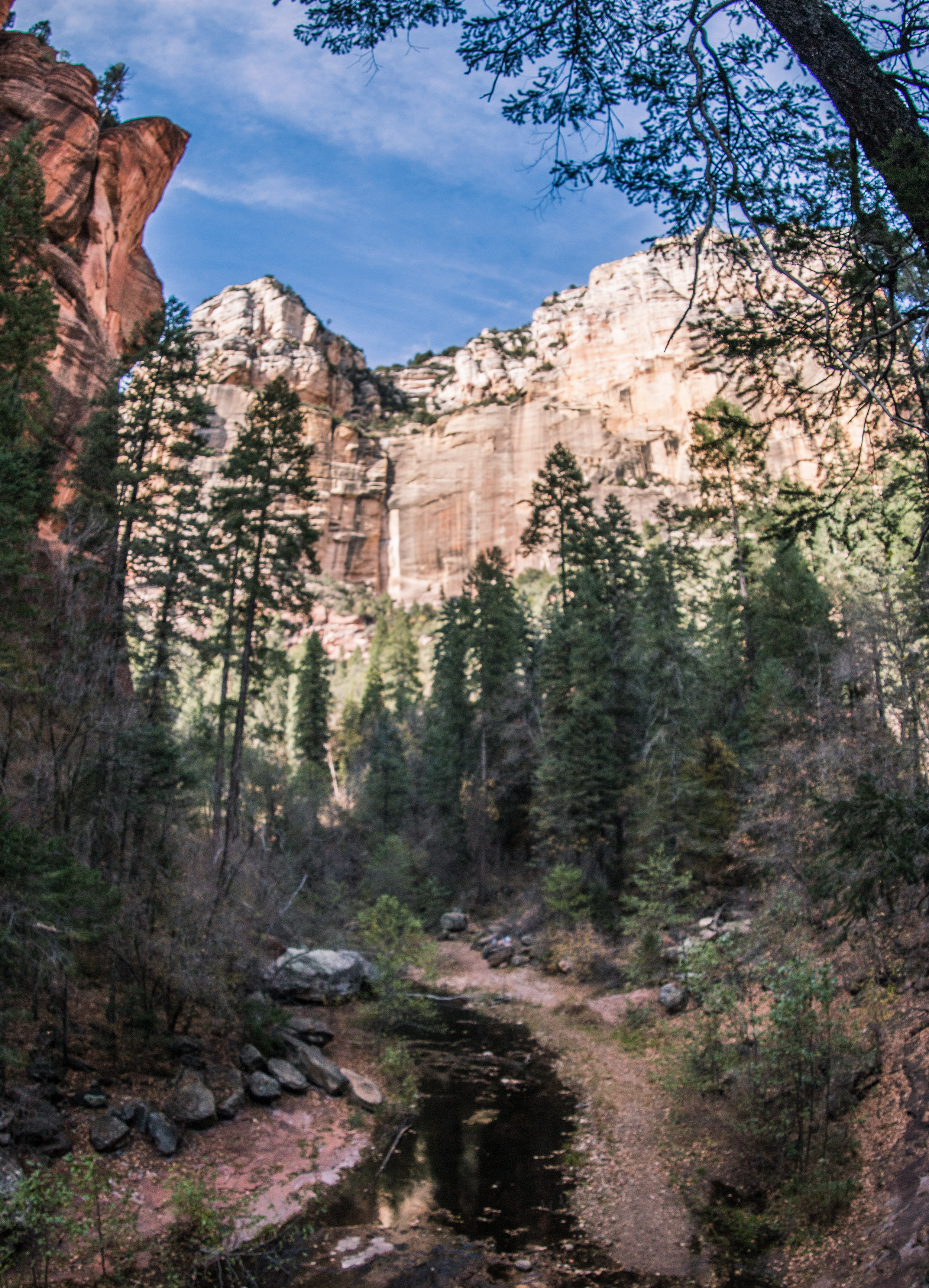Hike West Fork Oak Creek Trail #108