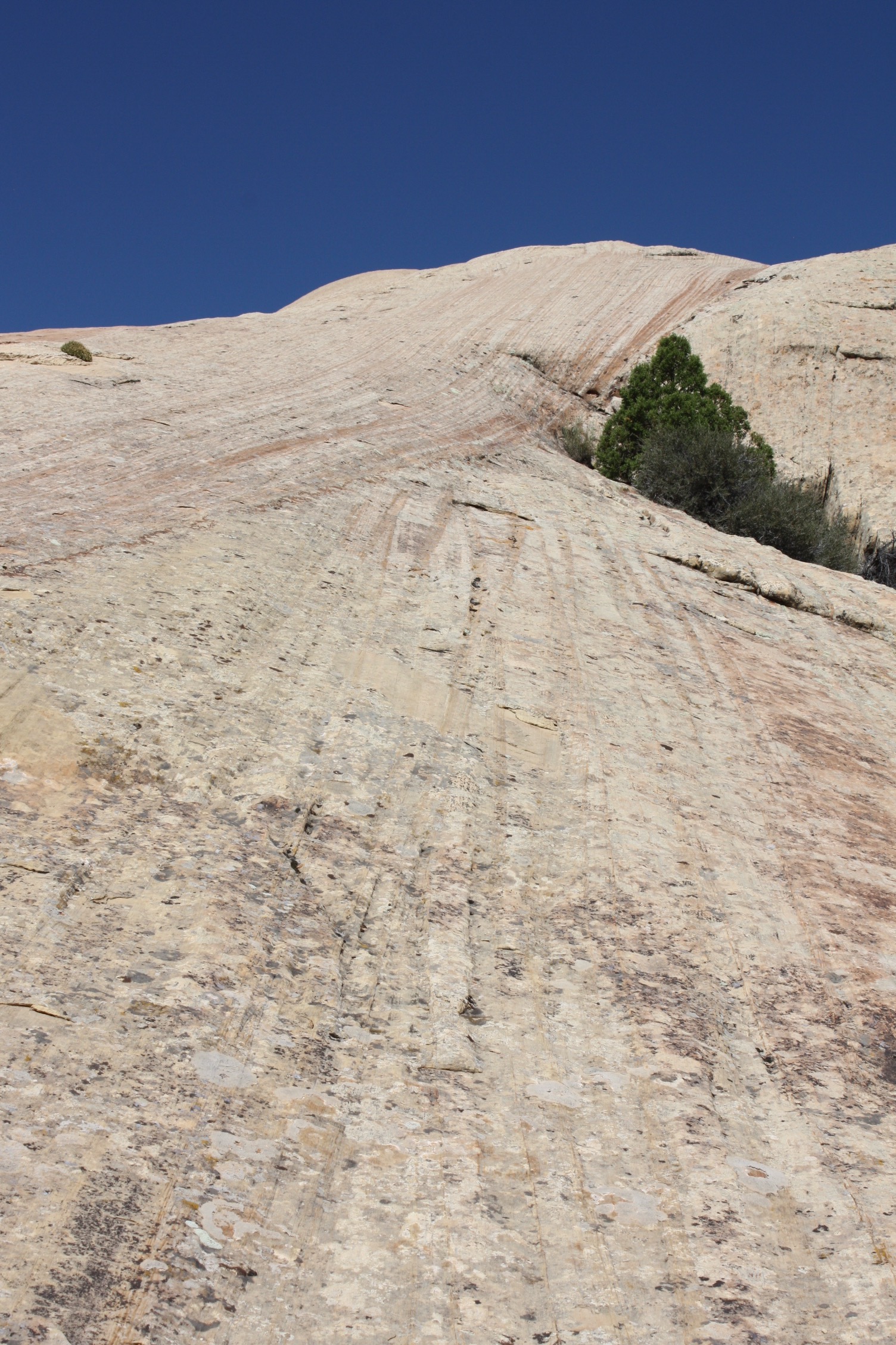 Hike the Desert Voices and Sound of Silence Trails